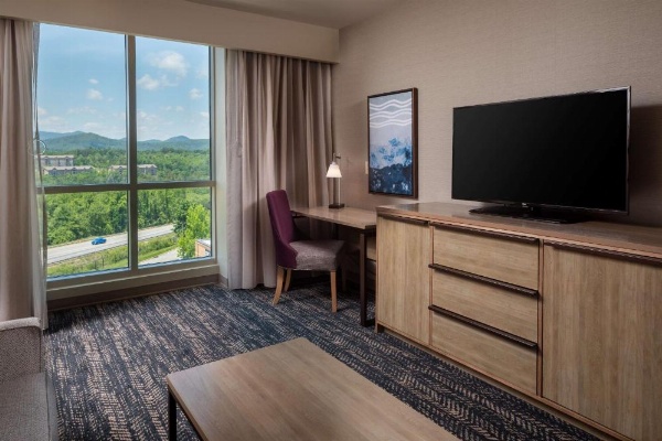 Hilton Asheville Biltmore Park image 26